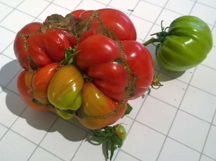 image-20240227135043-15