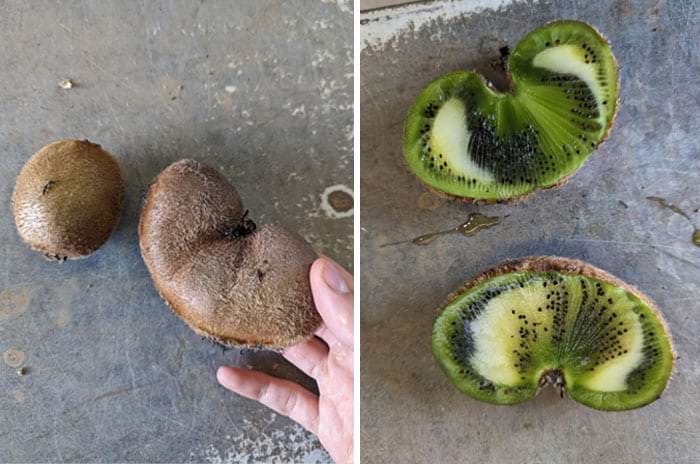 image-20240227135046-16