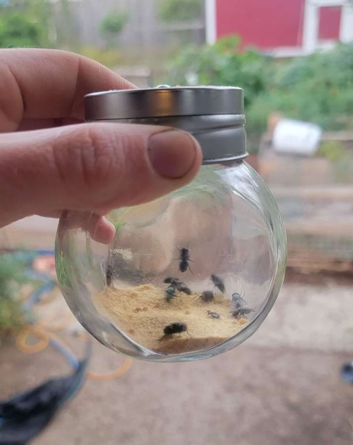 image-20240227145613-6