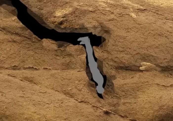 image-20240227145625-9