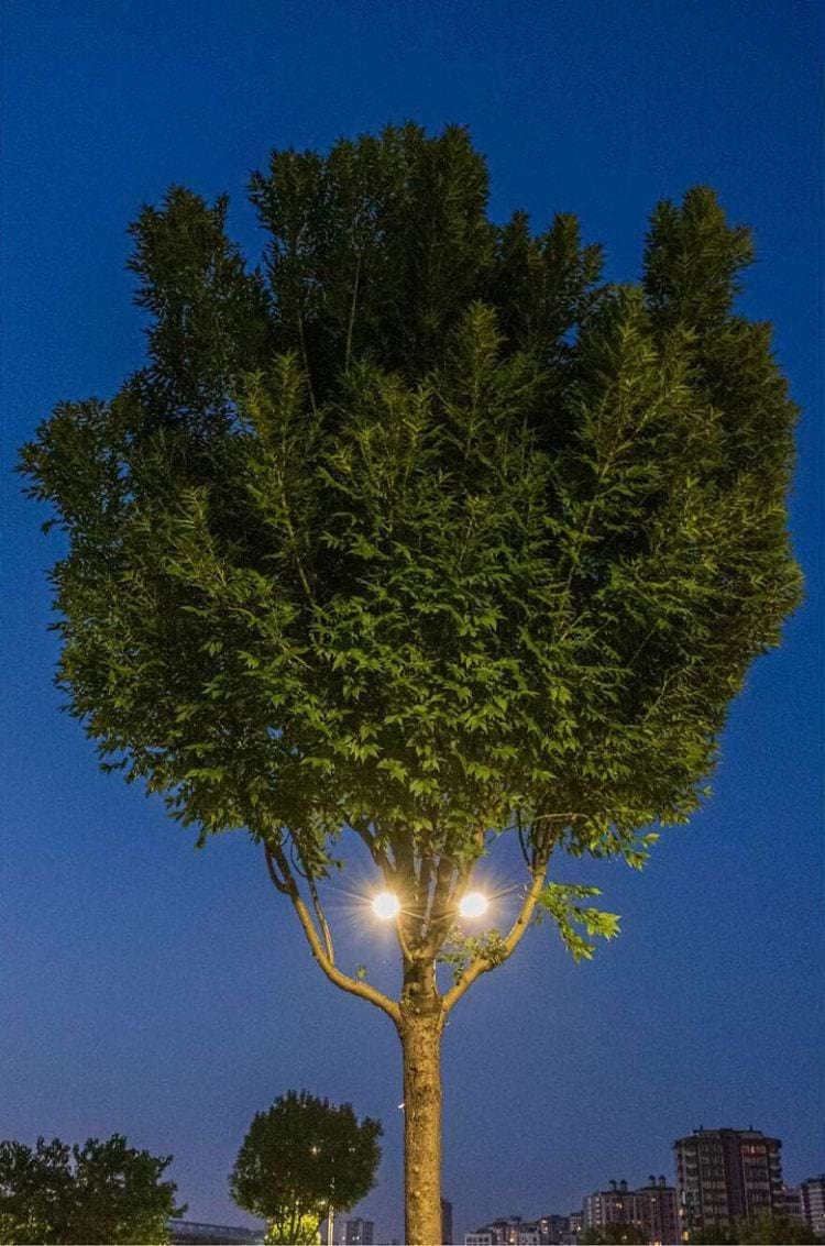 image-20240228111912-3