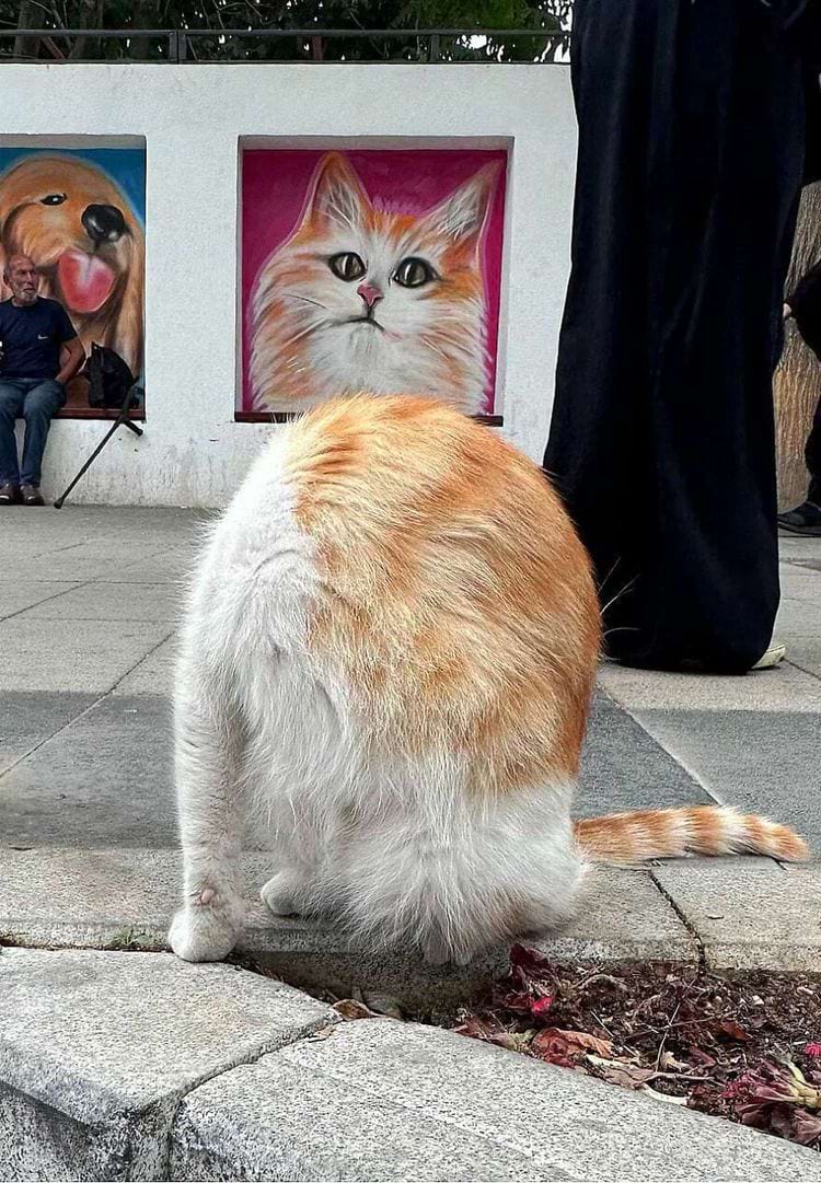 image-20240228111920-5