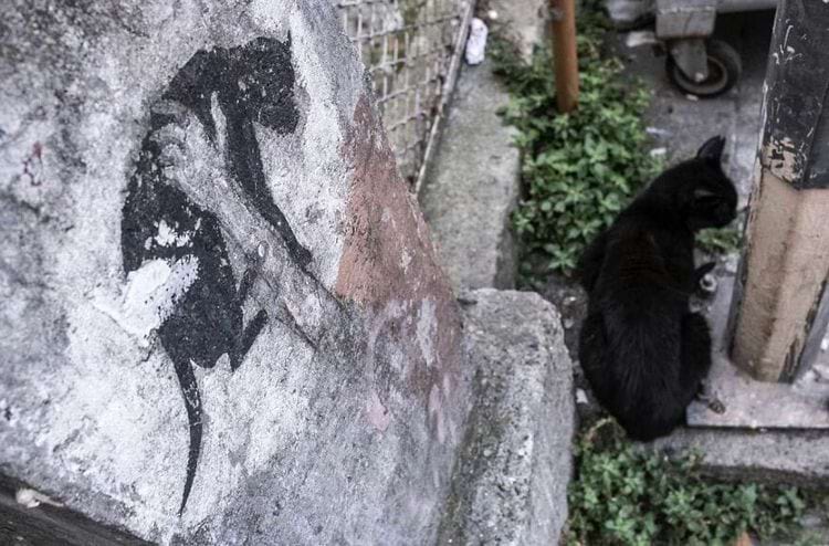 image-20240228111923-6