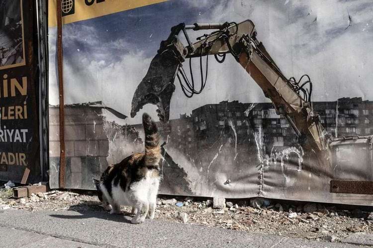 image-20240228111934-9