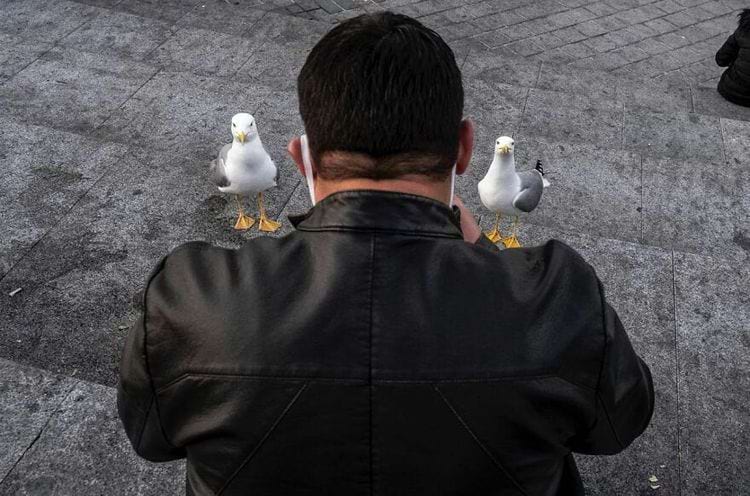 image-20240228111954-15