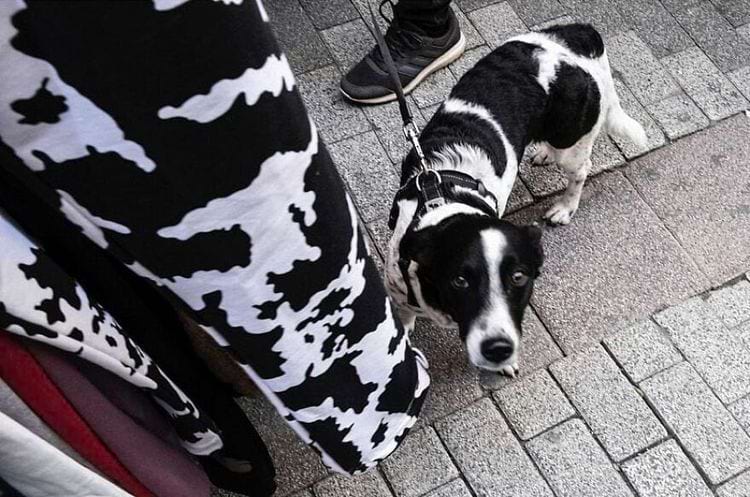 image-20240228112000-16