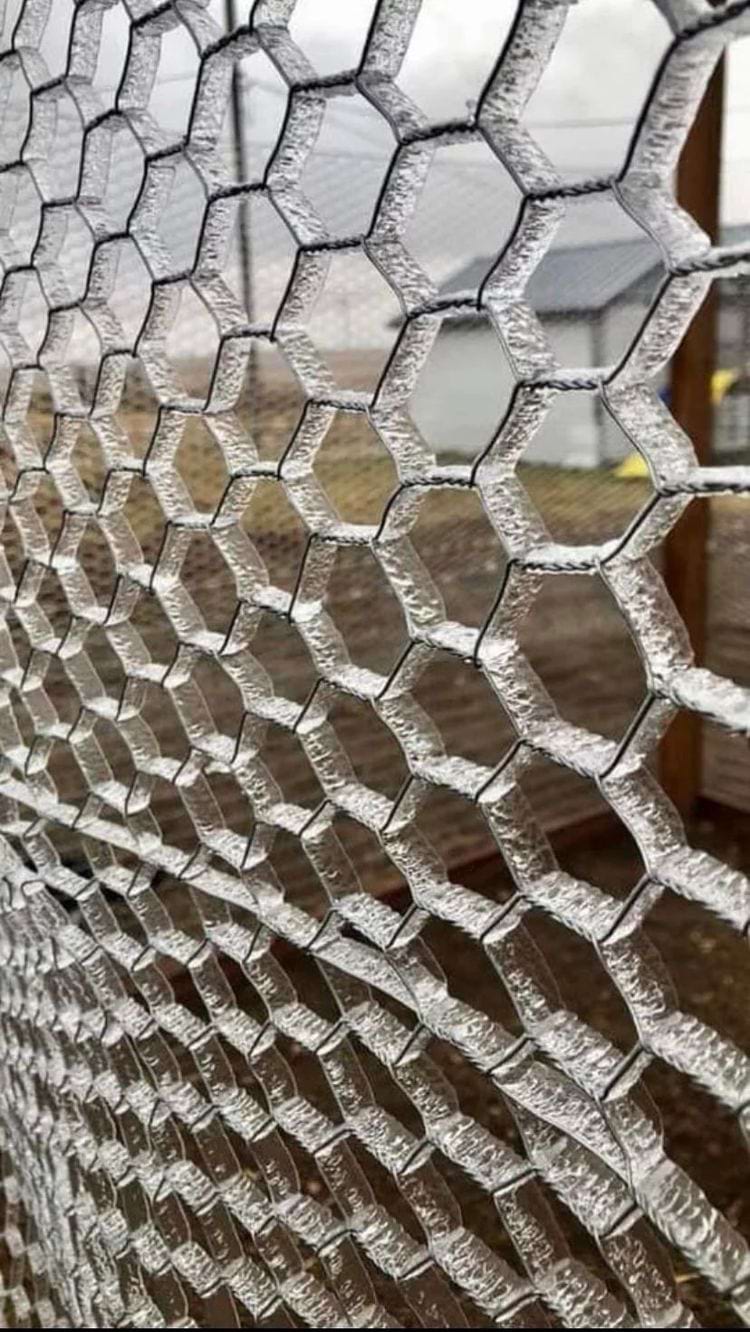 image-20240228142317-1