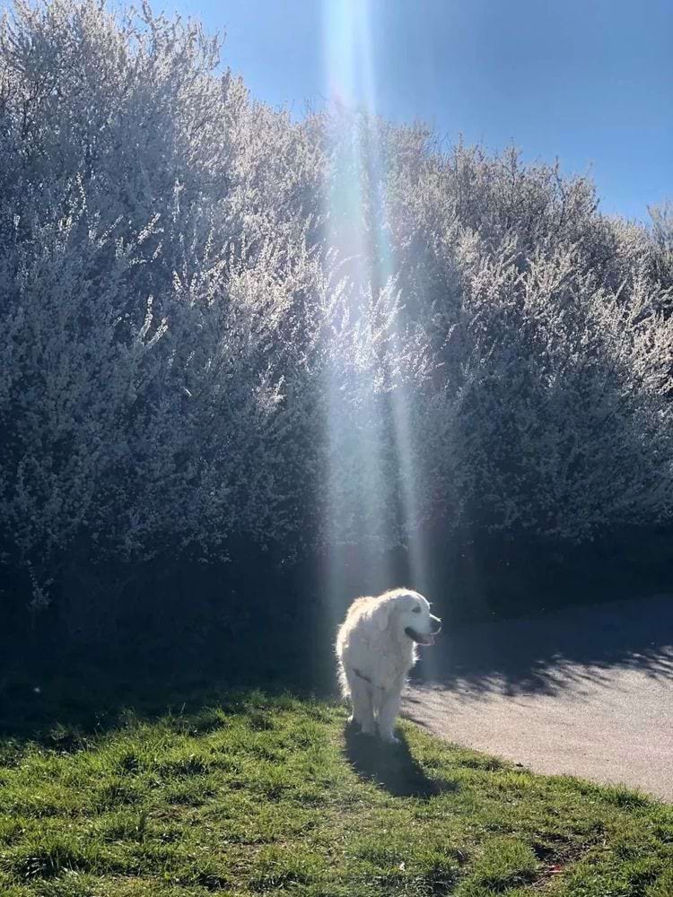 image-20240228142326-4