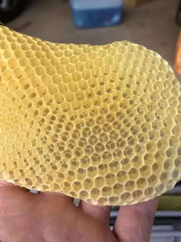 image-20240228142331-5