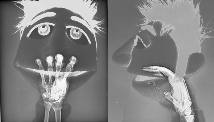 image-20240228154804-8