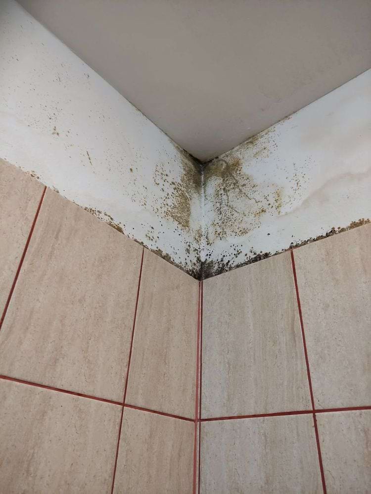 image-20240229165955-3