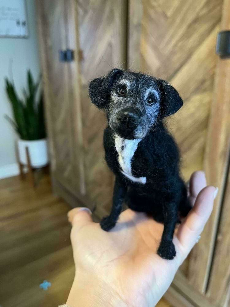 image-20240301130933-12