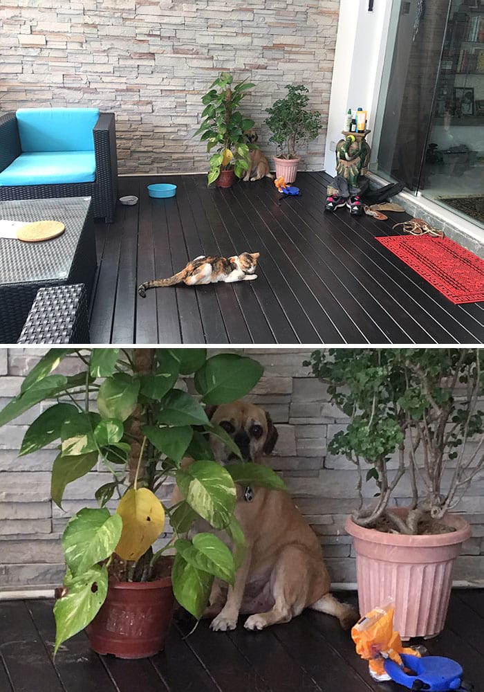 image-20240301144424-3