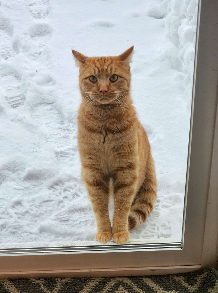 image-20240301144445-9