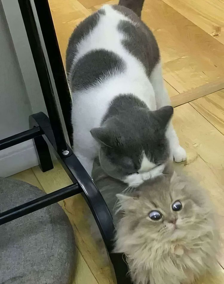 image-20240301144503-11