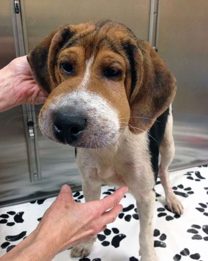 image-20240301144506-12