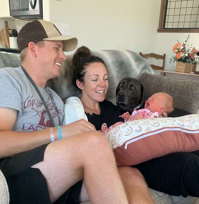 image-20240301144510-13