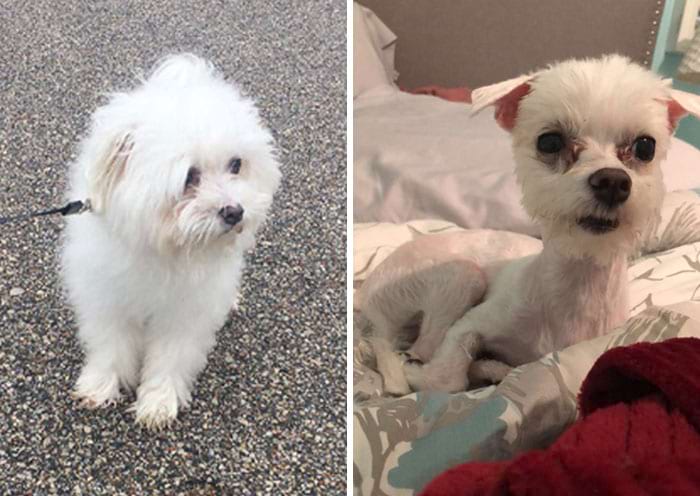 image-20240301144517-15