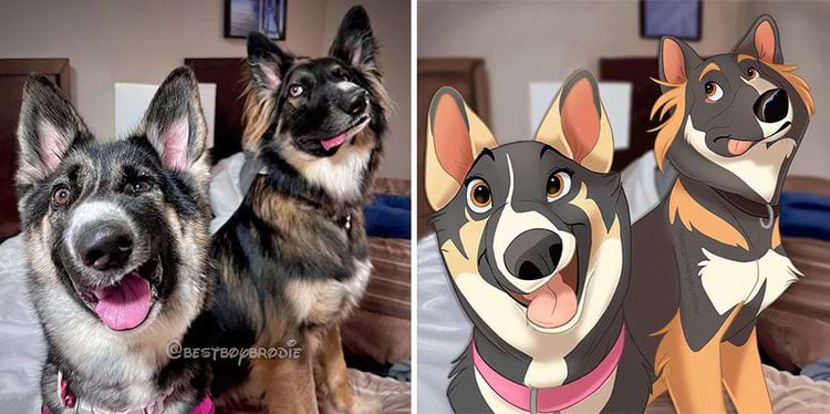 image-20240304103541-1