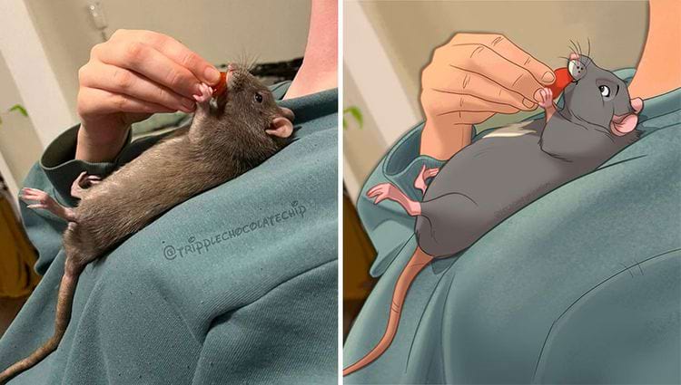 image-20240304103612-7