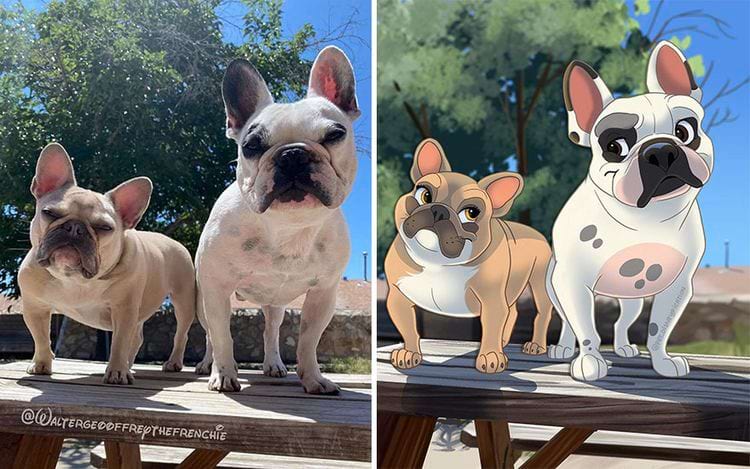 image-20240304103622-10