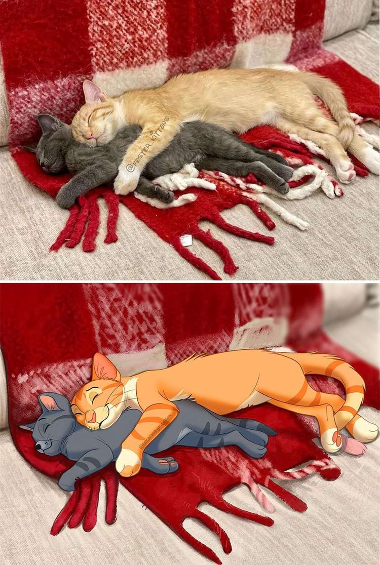 image-20240304103636-14