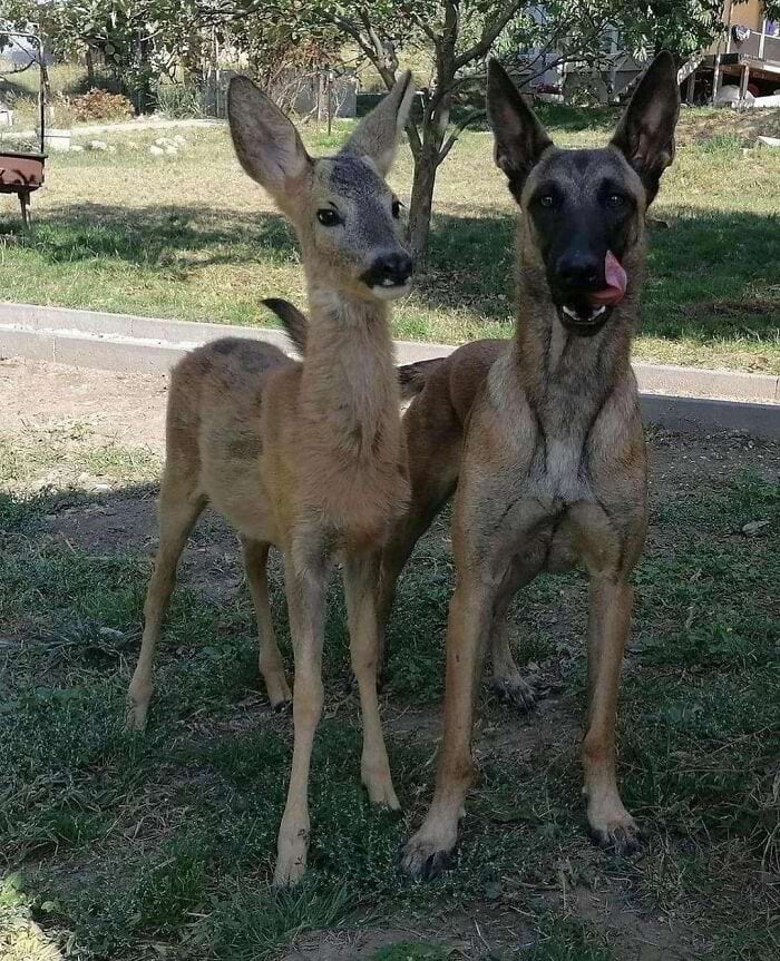 image-20240304132148-1