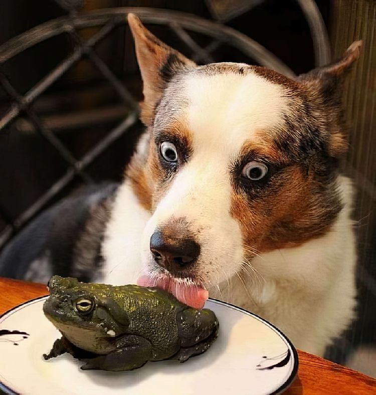 image-20240304132336-15