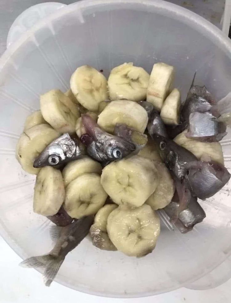 image-20240304132339-16