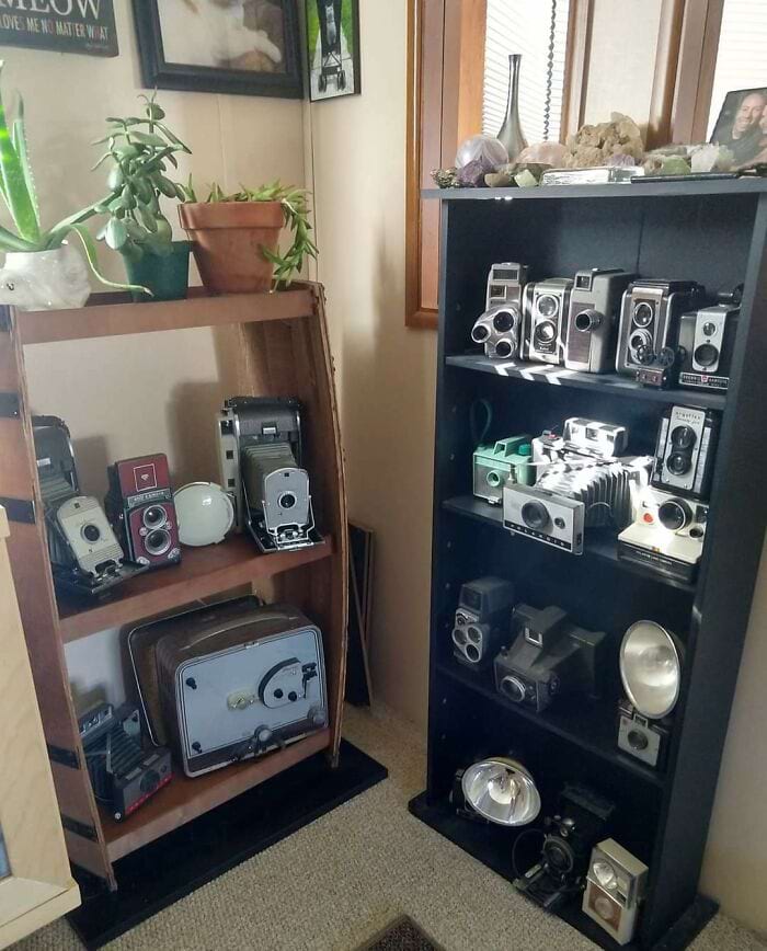 image-20240306104329-7