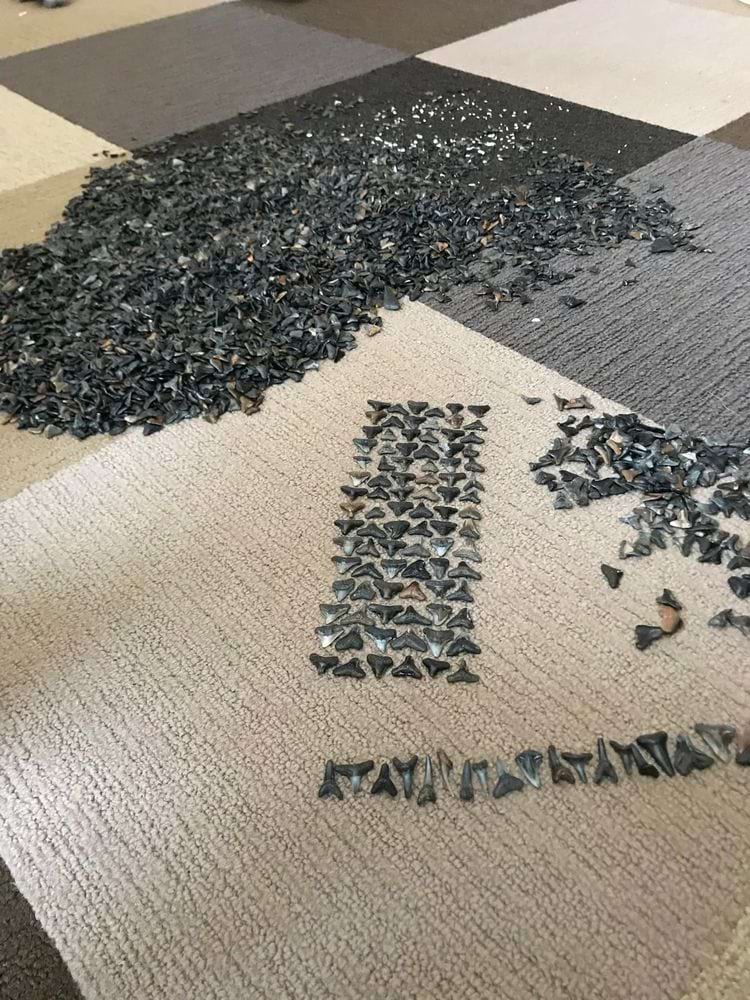 image-20240306104358-14