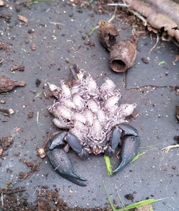 image-20240306142228-2