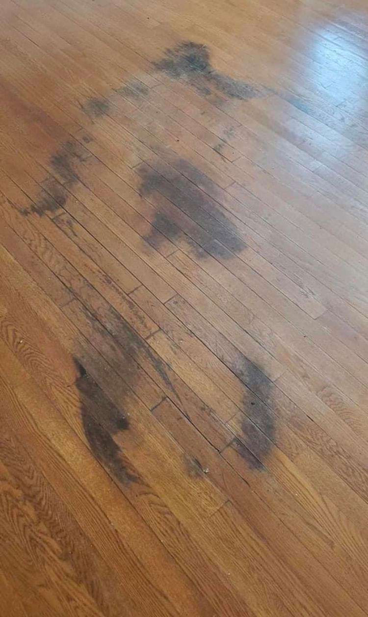 image-20240306142243-7