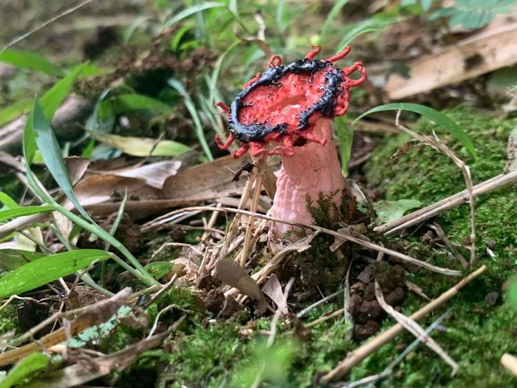 image-20240306142302-12