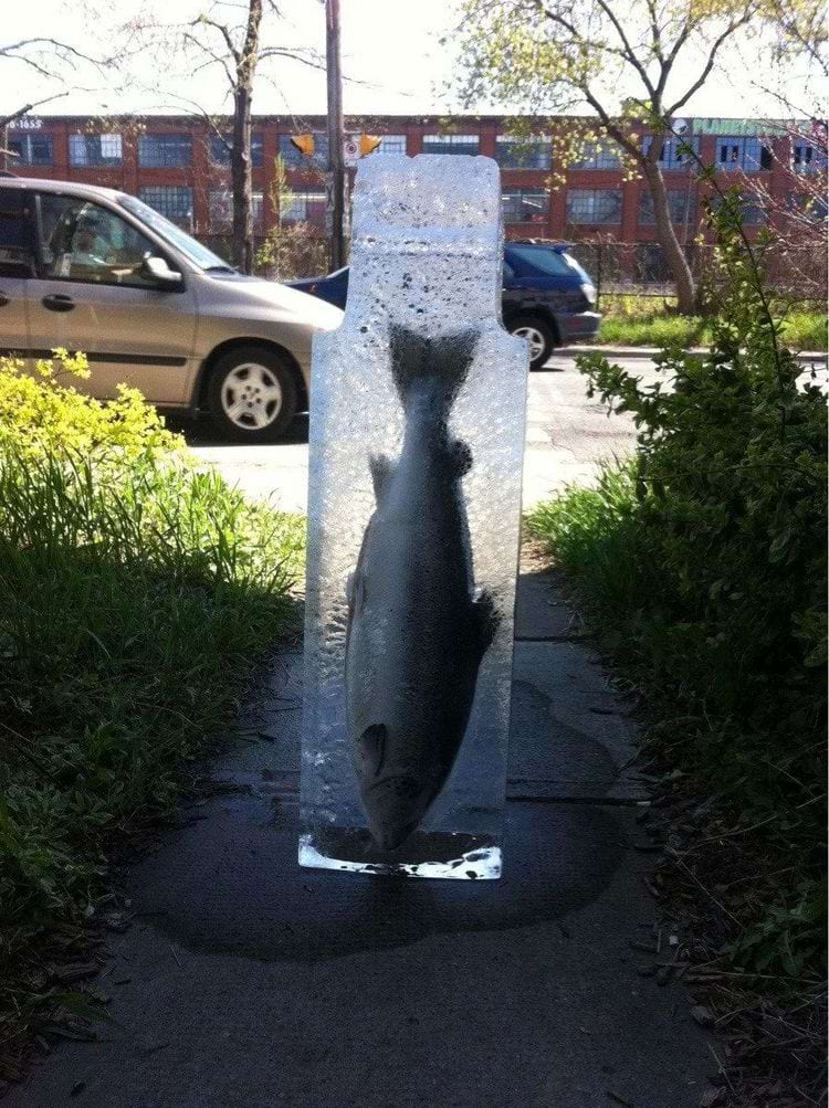 image-20240306142306-13