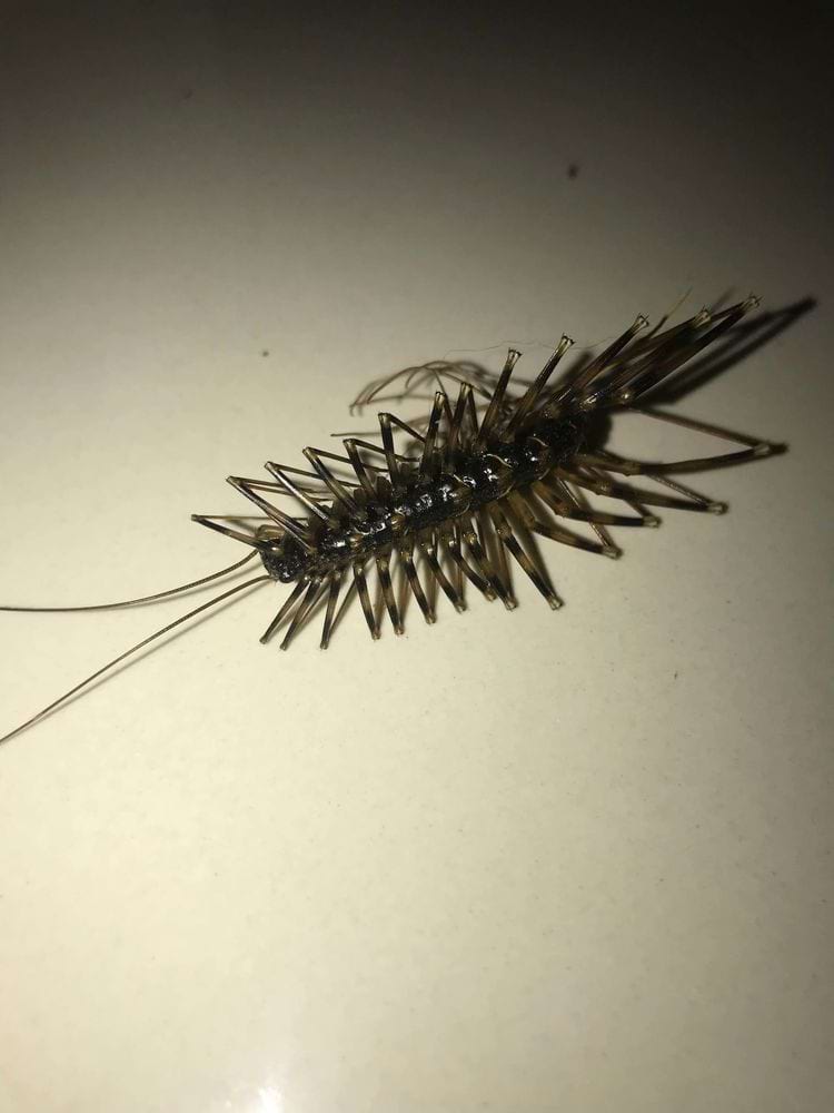 image-20240306142311-15