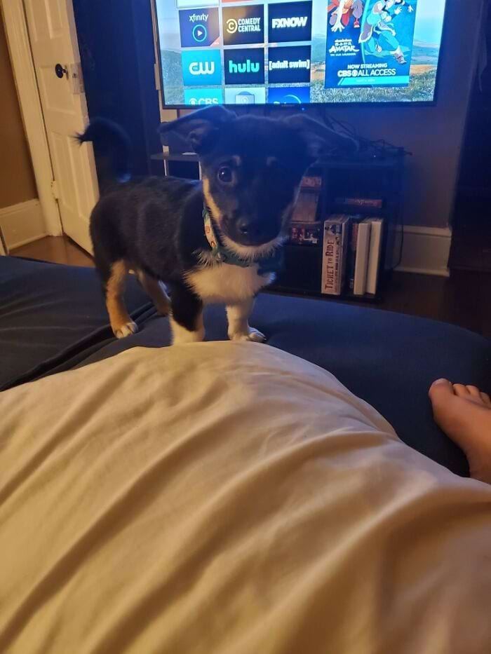 image-20240307150102-8