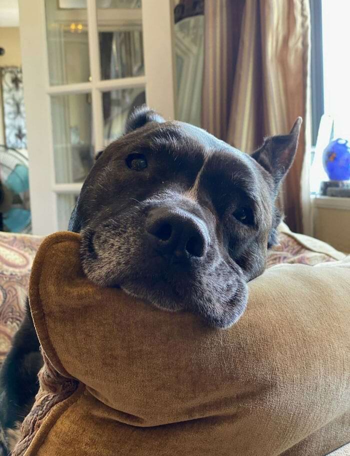 image-20240307150119-11