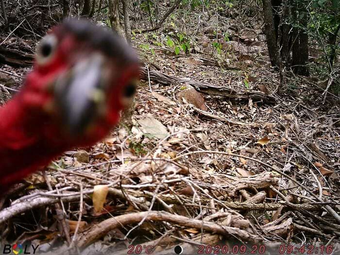 image-20240313120015-7