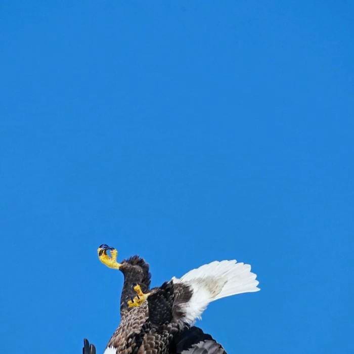 image-20240313120018-8