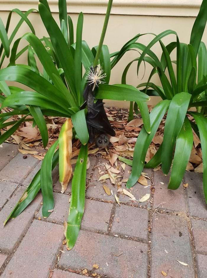 image-20240313120025-10