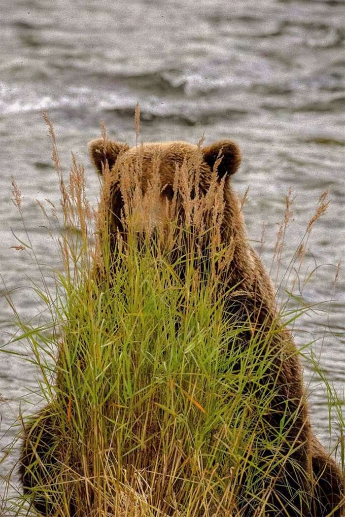 image-20240313120032-12