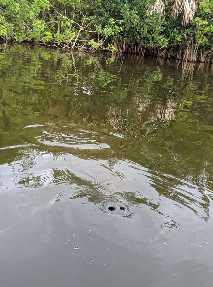 image-20240313120044-15