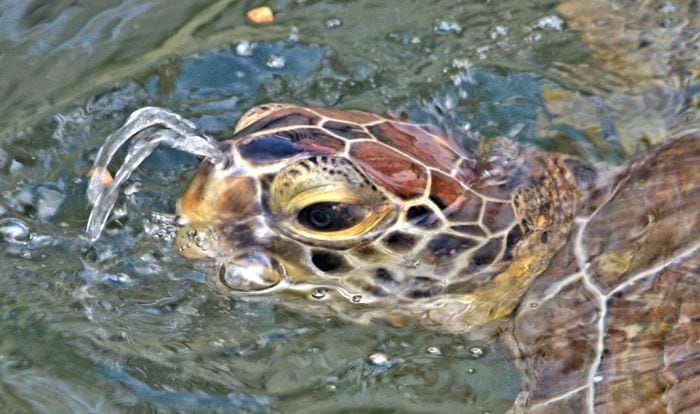 image-20240313120048-16