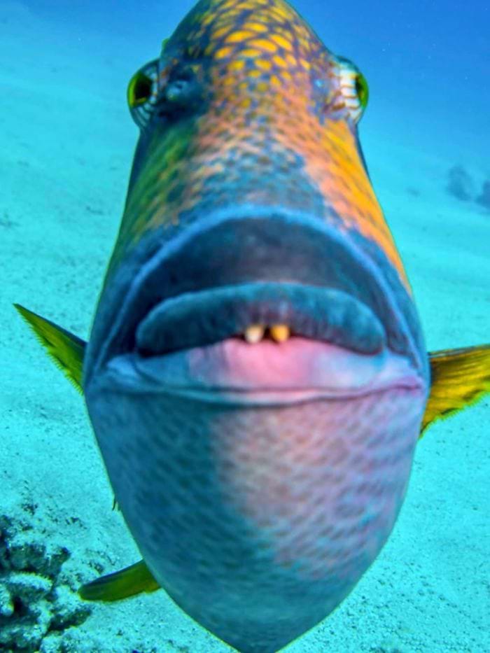 image-20240313120052-17