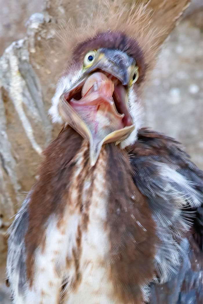 image-20240313120055-18