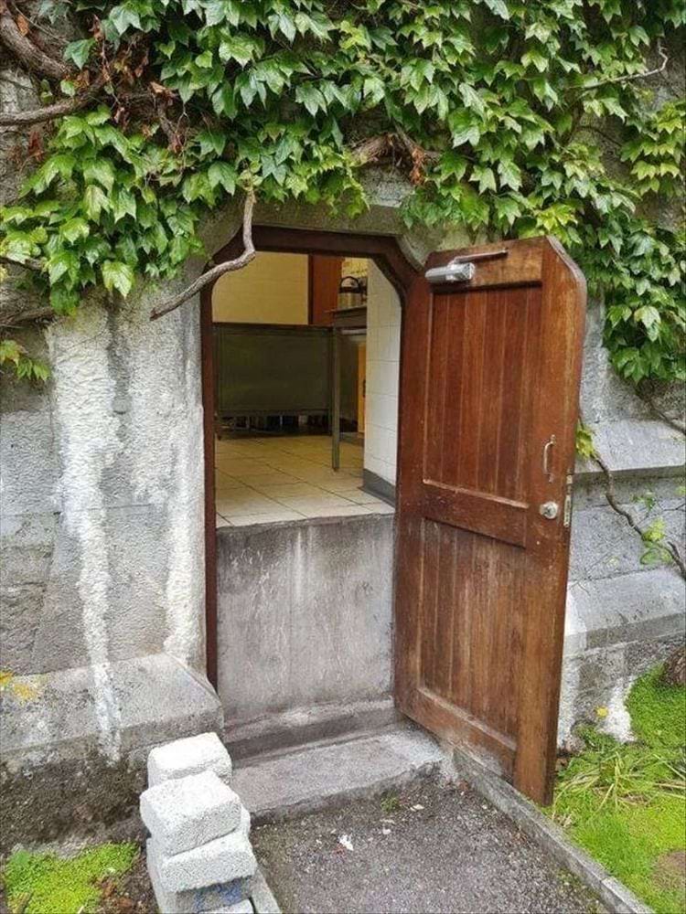 image-20240313142447-8