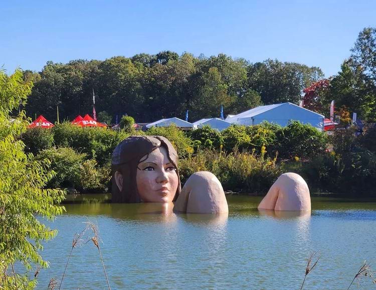 image-20240313142505-12