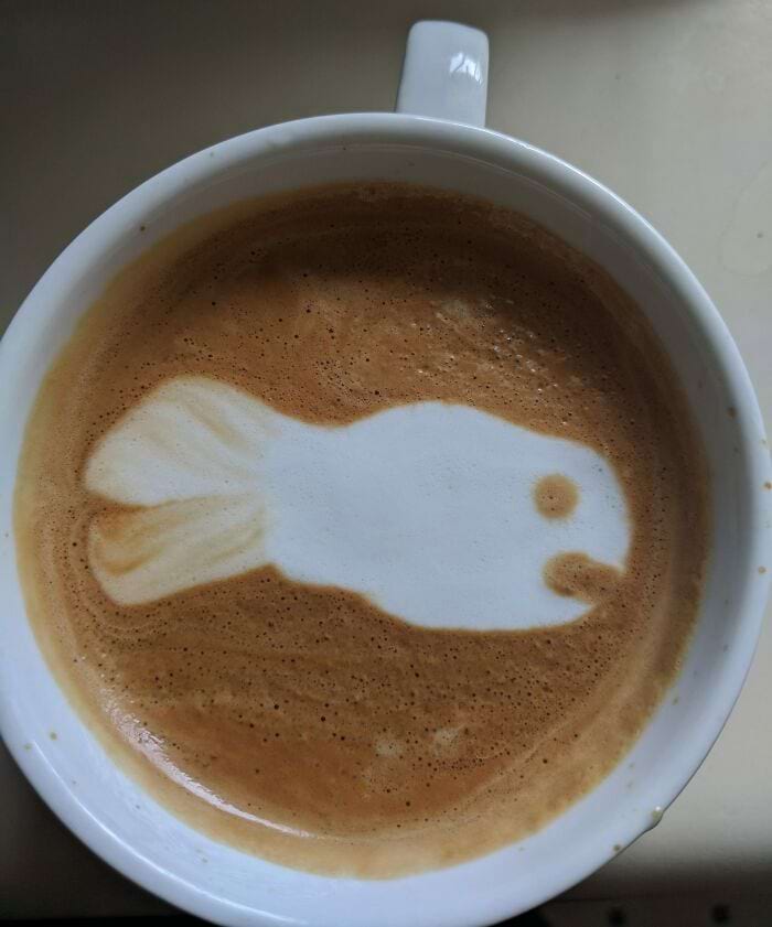 image-20240314105829-15