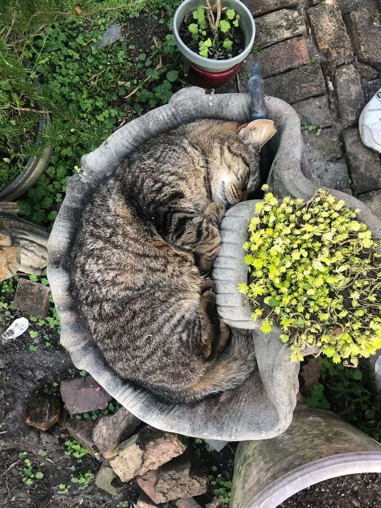 image-20240315131243-10